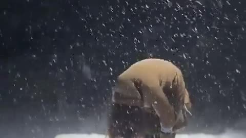 Greenlanders are trolling the US by pretending to be fentanyl addicts