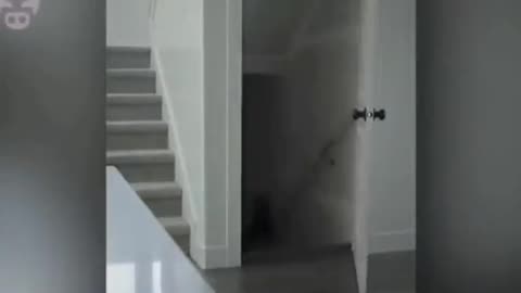 😱👤 Shadow Figure Caught on Camera! | TheHauntingHour