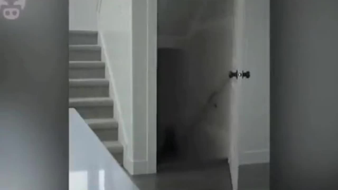 😱👤 Shadow Figure Caught on Camera! | TheHauntingHour