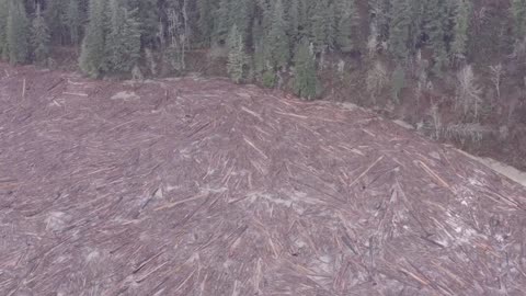 North Fork Reservoir log jam 12-19-2025