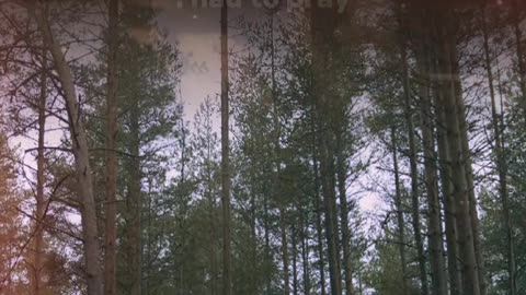 🕊️❤️ Prayer of Praise | Celebrate God's Goodness & Love | InGodWeTrustDaily