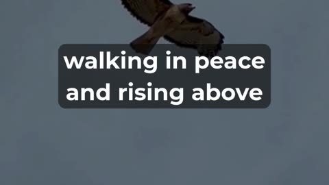 Powerful Prayer for 'A Second Wind'!