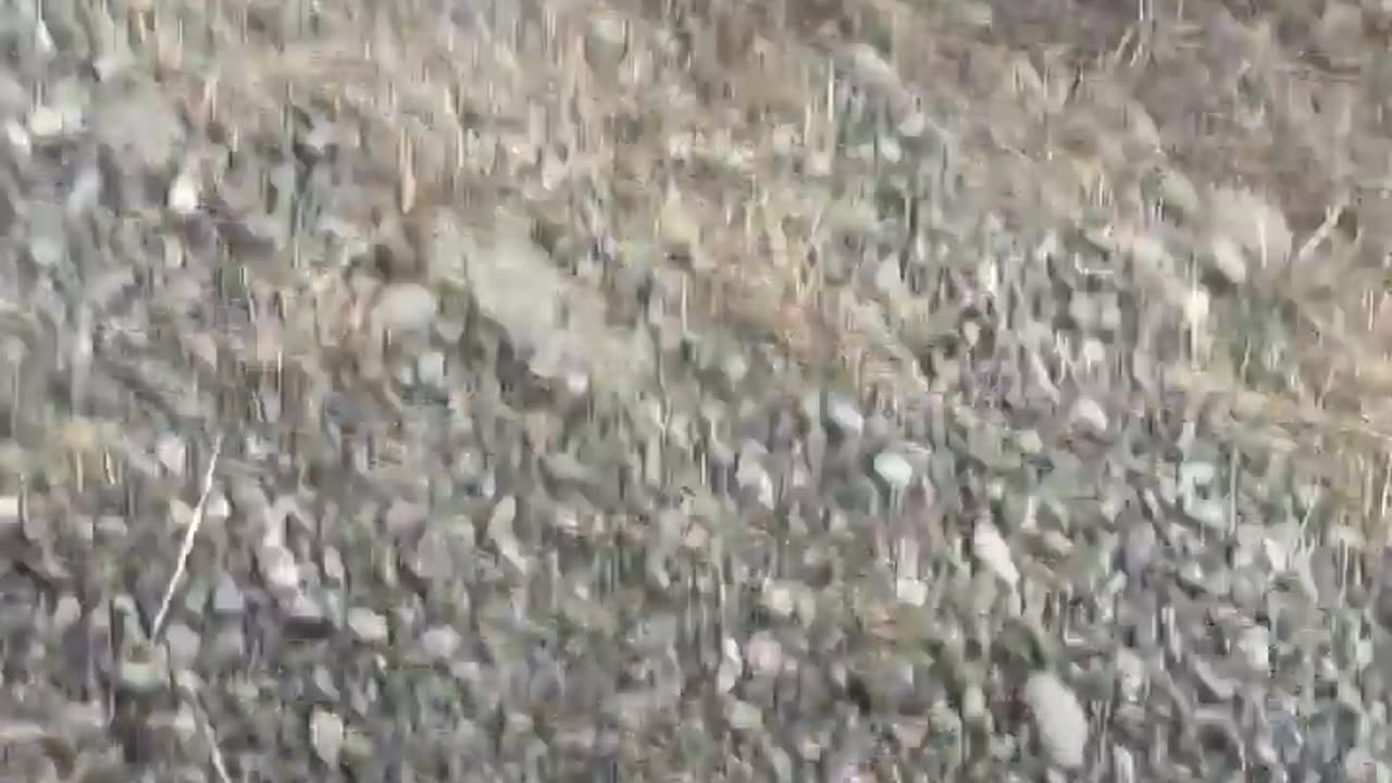 🤣🚗 Wait For The Ending! Driving Home Surprise | FunFM