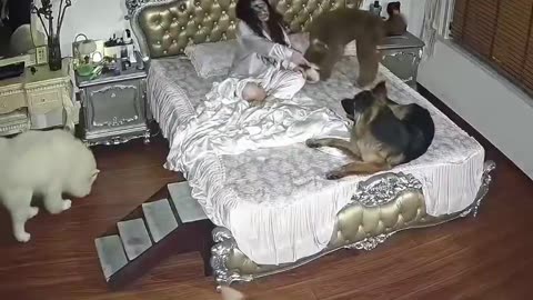 It’s 3 a.m. and she can’t sleep, and here’s why