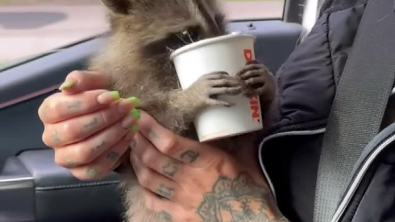 Peanut & Fred - what was the outcome of this story?