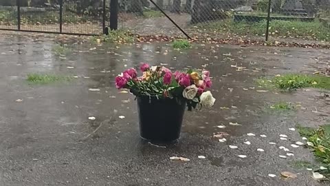 I just remembered a visiting satanic priest tried hypnotising me via A HANDSHAKE INDUCTION