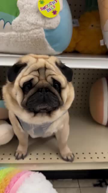 20% off very good deal 😂