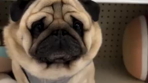 20% off very good deal 😂