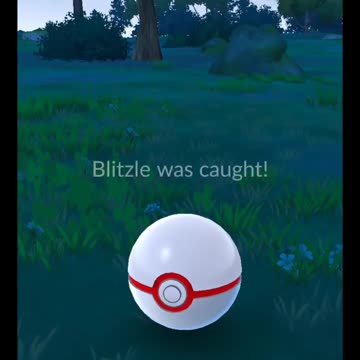 Pokémon GO-Shadow Blitzle