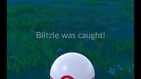 Pokémon GO-Shadow Blitzle