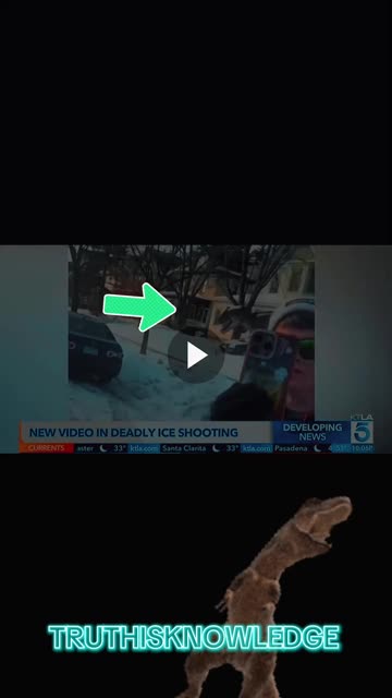 DINOSAUR 🦕 ON THE SCENE