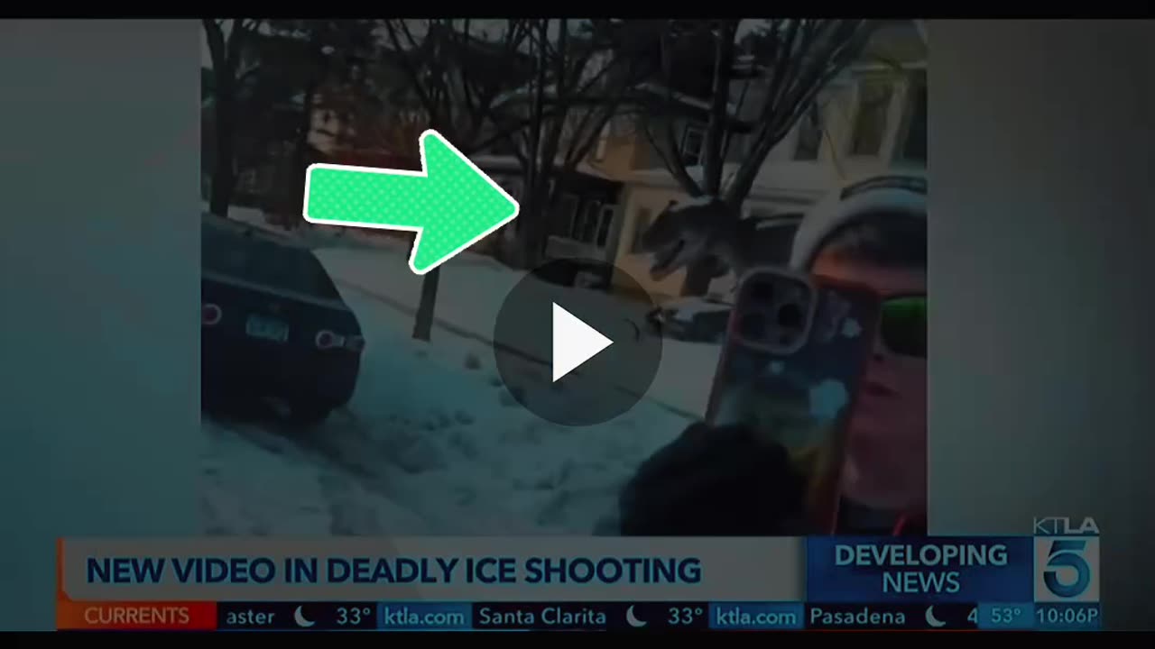 DINOSAUR 🦕 ON THE SCENE