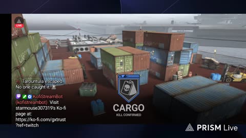 CODM FIGHT BACK OR DIE ONLY KNIFE SURVIVAL