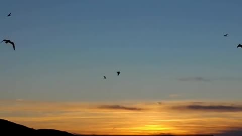 Daily Horoscope | Cancer 🌟