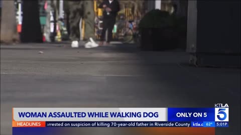A woman walking her dog in downtown LA was sexually assaulted and beaten by a homeless