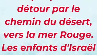 🕊️ « Dieu conduit son peuple par le chemin du désert » Exode 13:18.#shortvideo #shorts #youtubeshort