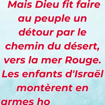 🕊️ « Dieu conduit son peuple par le chemin du désert » Exode 13:18.#shortvideo #shorts #youtubeshort