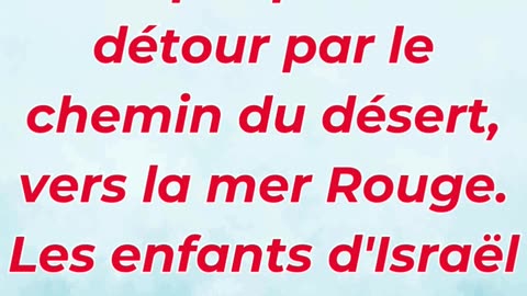 🕊️ « Dieu conduit son peuple par le chemin du désert » Exode 13:18.#shortvideo #shorts #youtubeshort