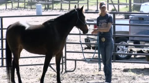 Skipper Calder & Cowboy-up Ministry bring horse training with a message at 11am.