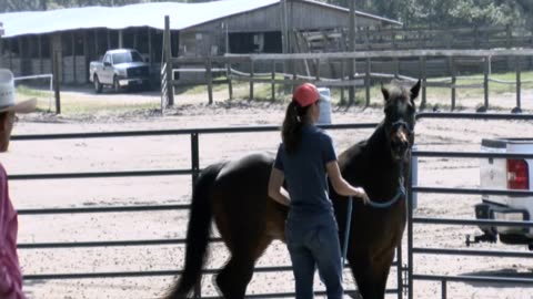 Skipper Calder & Cowboy-up Ministry bring horse training with a message at 11am.