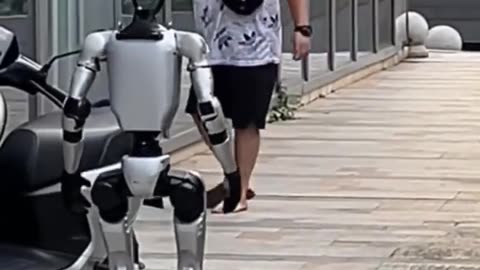 How the robot insurrections will begin
