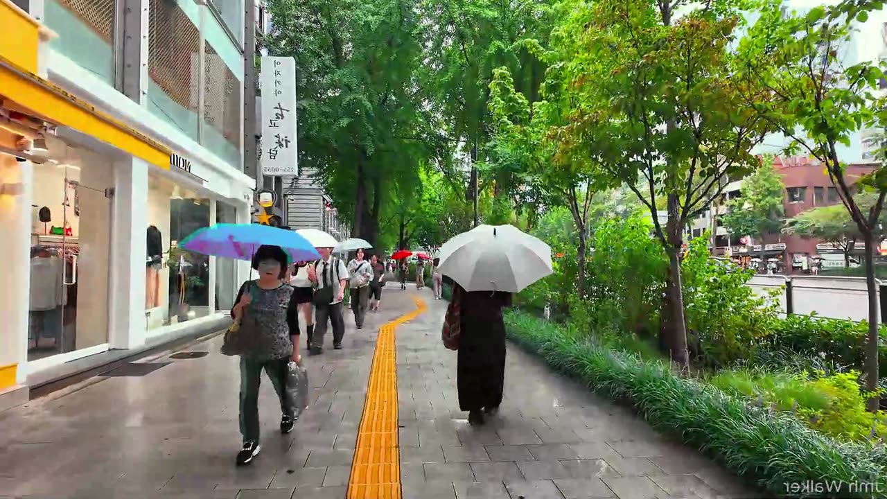 Đường phố Hàn Quốc 한국 거리 22102025 21