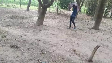 Funny comedy action love