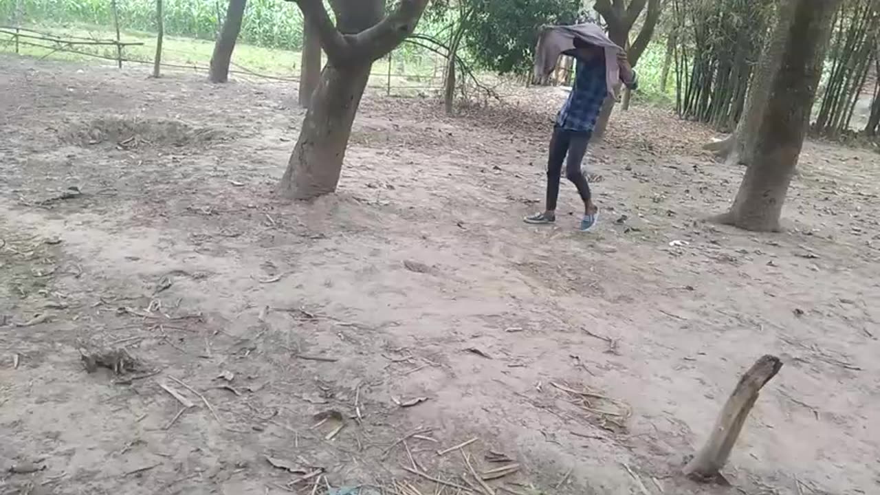 Funny comedy action love