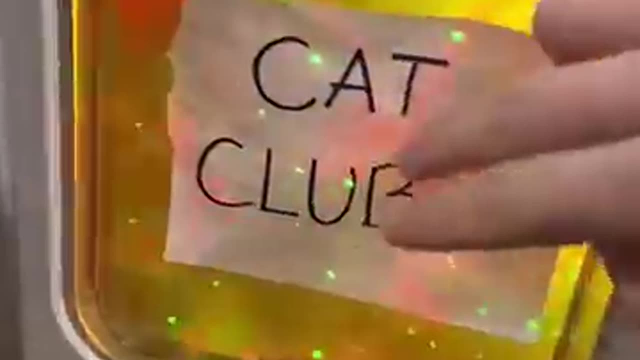 Cat Club! #shorts30 #viral #catclub #shorts28