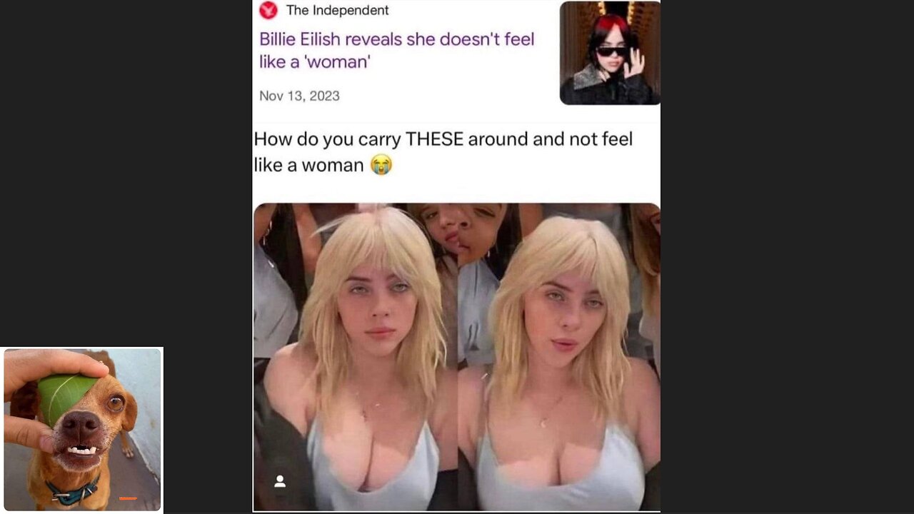 Memes That Will 99.0500% Make You Laugh. (e724)