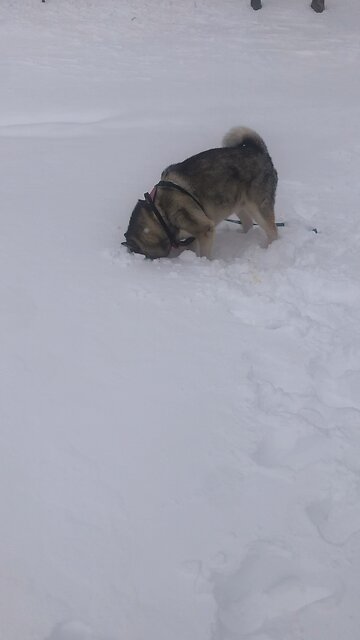 Wednesday February 19, Do you think those Galileans were were sinners?