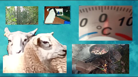 #hike , #woods , #camp , #food , #fail , #diy , laser