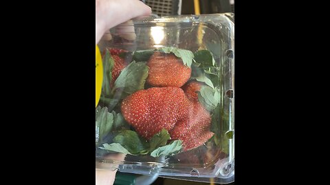 Worlds largest strawberry?