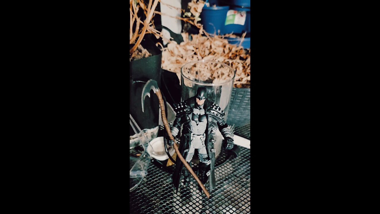 Superman Red Son Dojo Battle