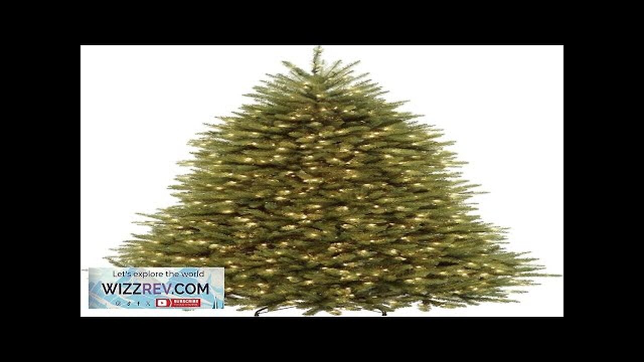 National Tree Company Pre-Lit Artificial Full Christmas Tree Green Dunhill Fir Dual Review