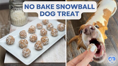 No Bake Snowball Dog Treats