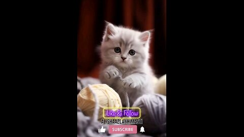Cat singing #cat #cats #catsagram #catlove #family #follow #viral #animal #hashtags #happy #satisfy