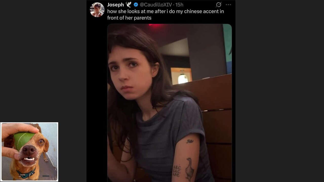 Memes That Will 99.0523% Make You Laugh. (e747)