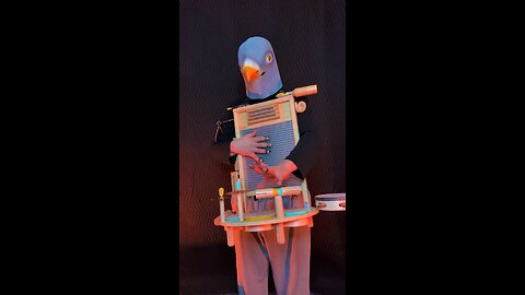 Pigeon percussions