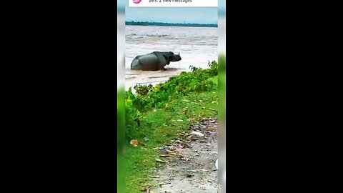 Bangladesh Discovery