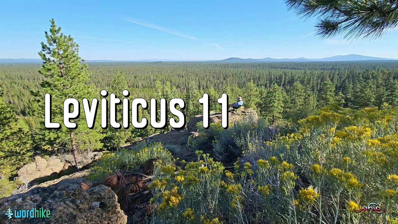 Leviticus 11, Bible Reading in Nature, BSB