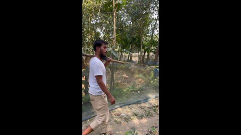 ক্ষেতে পানি দিতে গেছিলাম😅| Ripon Mia Vlogs #riponvlogs #comedyshorts #shorts