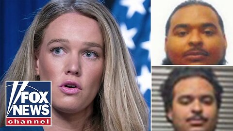 ‘SHOOT ICE ON SIGHT': Twins charged in threats to kill DHS official