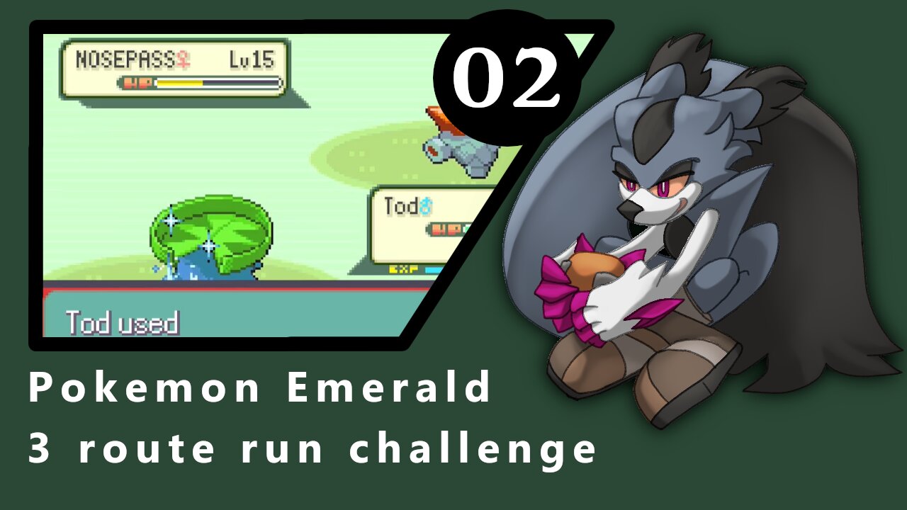 Pokemon emerald 3 route run part 2