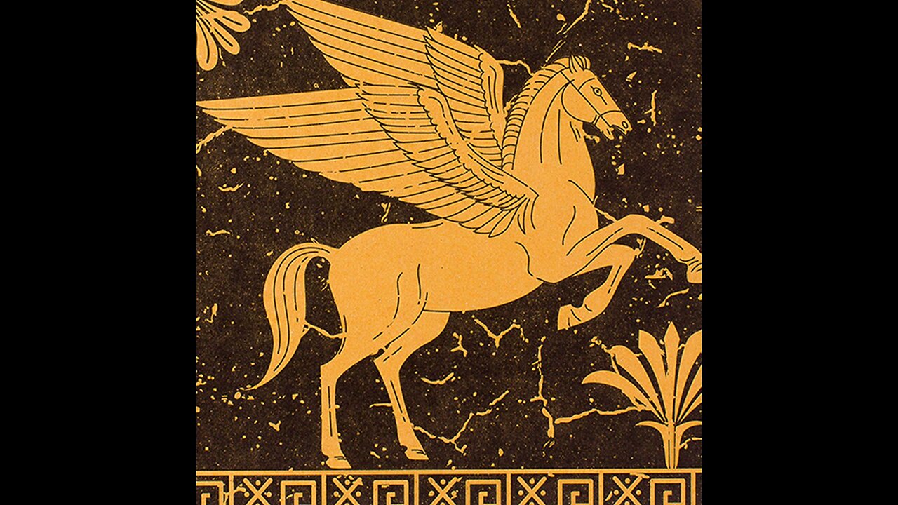 Checkin on Pegasus - Dec 10th 2025 -