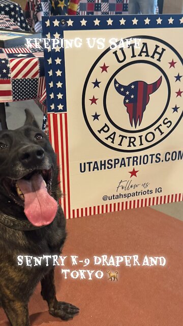 Guided by God Grounded in Freedom