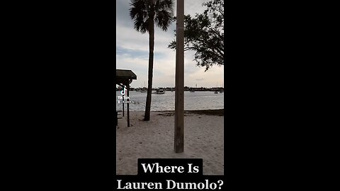 FOUR FREEDOMS PARK THE DISAPPEARANCE OF LAUREN DUMOLO