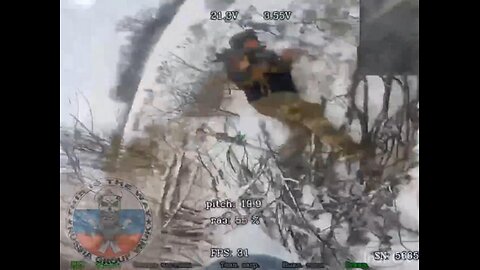 🇷🇺 An Attack on the Mechanized Ukrainian Soldiers near the Villages of Dobropolye and Varvarovka