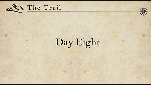 Day 8