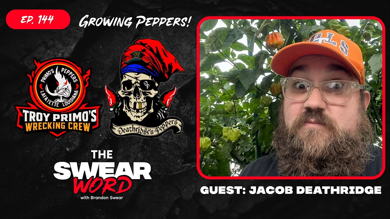 Growing Peppers & Primo Wrecking Crew |Jacob Deathridge| HoN: Interstellar Confections | TSW: Ep 144